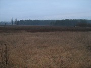 Участки в Боярке под жил.застройку! По 5, 5 соток за 18500 у.е.