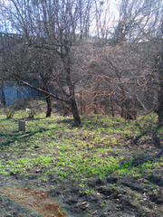 Продается участок в Киеве
