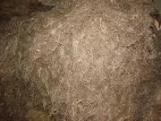 Пакля Межвенцовый утеплитель Ленточная пакля