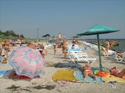 Срочно участок на Черном море ! Торг!