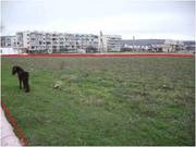 Балаклава ул.Строительная. 10 соток. 0062