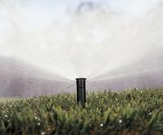 Автоматический полив газонов