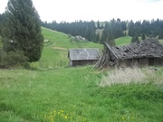 земельные участки в Карпатах Яблуница возле Буковеля