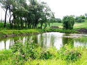 Участок в Днепропетровске