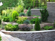 Ландшафтний дизайн