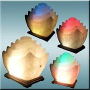 Природный фильтр в доме.