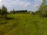 Срочно продам земельну ділянку