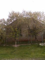 Продам дом срочно,  новой постройки,  без посредников, цена договорная