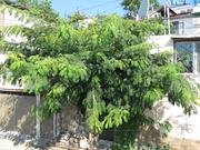 Квартира в Крыму  3 мин. от моря