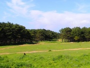 Севастополь,  ул. Милосердия (у Сапун-горы)