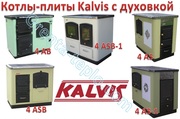 Котлы-плиты центрального отопления Kalvis с духовкой