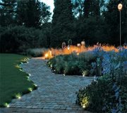 Оригинальное ландшафтное освещение  в Днепропетровске