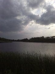 продам два ставка для бизнеса