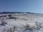 Продам земельный пай 5, 58 Га в Крыму (Доброе)