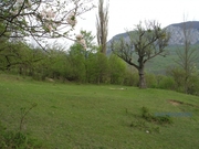 Продам земельный участок 60 соток 10 км от Винницы.Срочно!!!