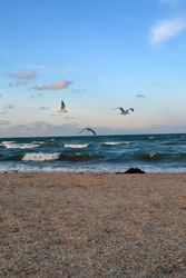 Майский тдых на Азовском море эконом-класса