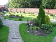 Ландшафтный дизайн