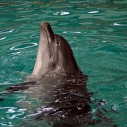 Продается земельный участок 7 га 