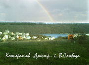 Продам дачу на Днестре