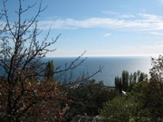 Продам участок в Приозерном на берегу озера Сиваш 5 га