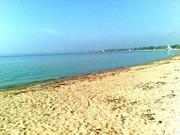 5, 5 га продам под строительство в 100 м моря в с. Счасливцево