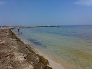 Участок в Приозерном,  Генический район 10 соток под строительство дома