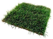 Продается земля на побережье Азовского моря (корпоративное право)