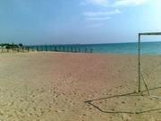 Продам участок 50 соток (возможна аренда с дальнейшим выкупом)