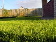 Озеленение и благоустройство территории. Професcиональное обслуживание