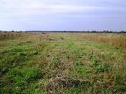 продам участок около заповедника,  70, 76га,  Киевская обл.