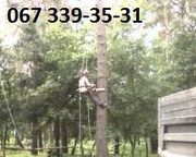 Удаление деревьев Киев,  демонтаж домов,  а также вывоз мусора. 