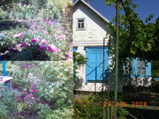 Продам дачу на левобережном-3