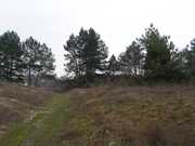 Участок 25 сот. приват. с.Нечаивка $6000