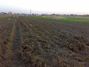 Продается земельна ділянка в сели Клузив