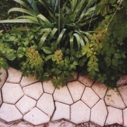 ХИТ ПРОДАЖ Форма для садовых дорожек. 