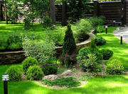 Ландшафтный дизайн,  Кировогад и область