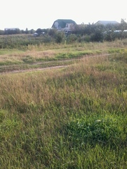 Участок в с.Ревне,  под строительство! Свой.