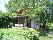 Продам дачу в Камяній Горі