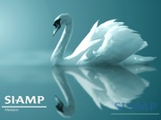 Сантехника от производителя