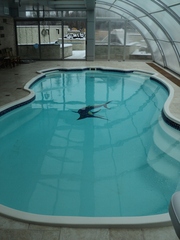 Строительство бассейнов под ключ,  продажа оборудования для бассейнов