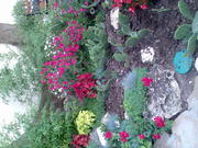 Продам летники собственного производства