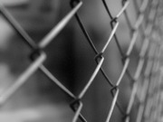 Сетка Рабица от производителя Чернигов