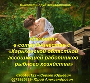 Выкопать пруд экскаватором