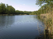 Продам дом с земельным участком в с.Снежковка,  Изюмский р-н,  Харьковская область