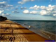 Земельные участки на берегу моря г.Бердянска Запорожской обл.