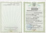 Участок в с.Осыково (жилой масив)