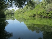 Продам дачу у воды в экологически чистом месте