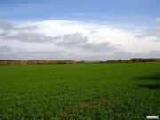 Продам пай 5.40 га. или обменяю на жиле в Кировограде.