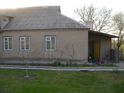 Срочно продам дом в Криничках