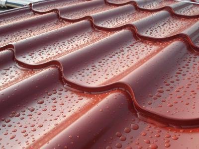 Кровля, забор, фасад - лучшие цены